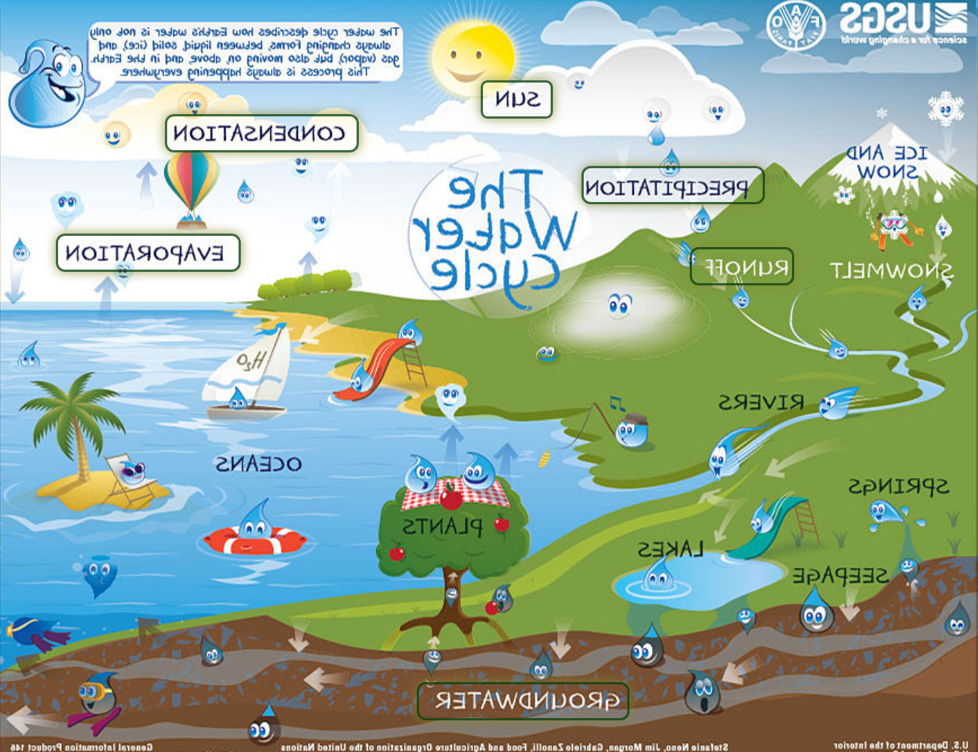 interactive water cycle map cover